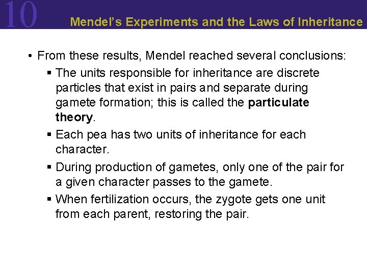 10 Mendel’s Experiments and the Laws of Inheritance • From these results, Mendel reached 10 Mendel’s Experiments and the Laws of Inheritance • From these results, Mendel reached