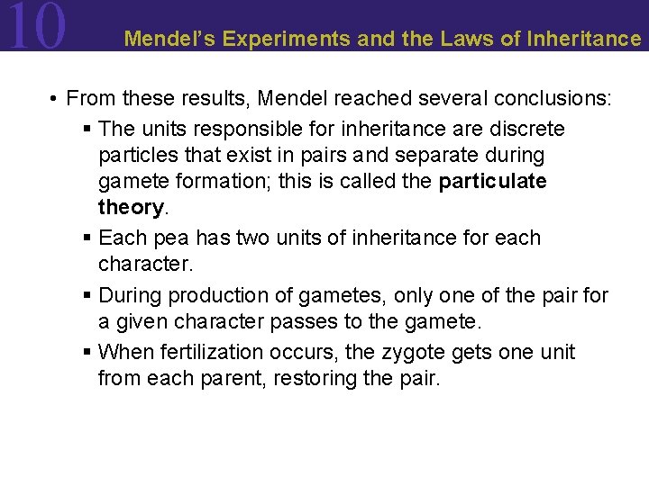 10 Mendel’s Experiments and the Laws of Inheritance • From these results, Mendel reached