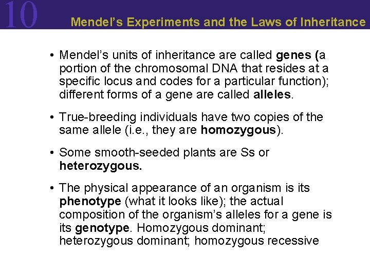 10 Mendel’s Experiments and the Laws of Inheritance • Mendel’s units of inheritance are 10 Mendel’s Experiments and the Laws of Inheritance • Mendel’s units of inheritance are
