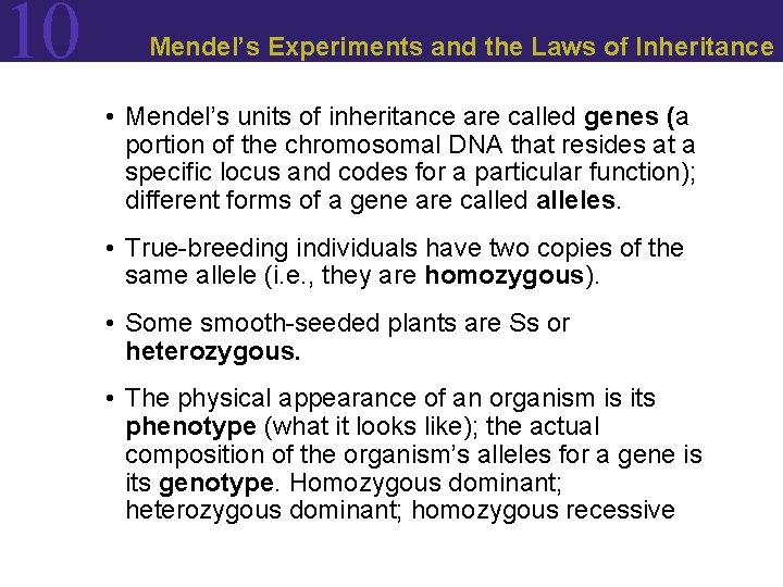 10 Mendel’s Experiments and the Laws of Inheritance • Mendel’s units of inheritance are