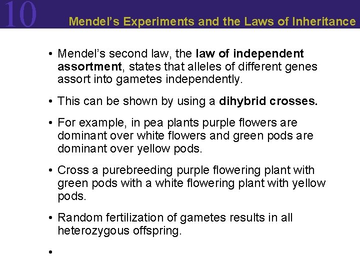 10 Mendel’s Experiments and the Laws of Inheritance • Mendel’s second law, the law