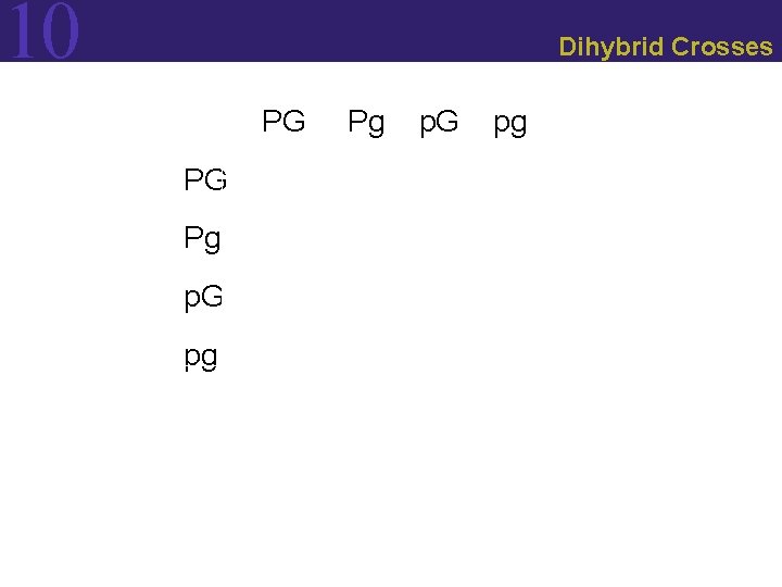 10 Dihybrid Crosses PG PG Pg p. G pg 