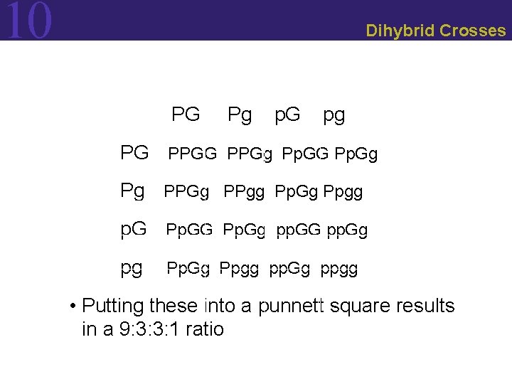 10 Dihybrid Crosses PG Pg p. G pg PG PPGg Pp. GG Pp. Gg