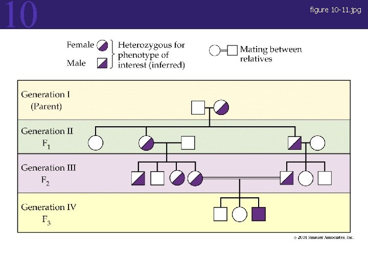 10 figure 10 -11. jpg Figure 10. 11 10 figure 10 -11. jpg Figure 10. 11