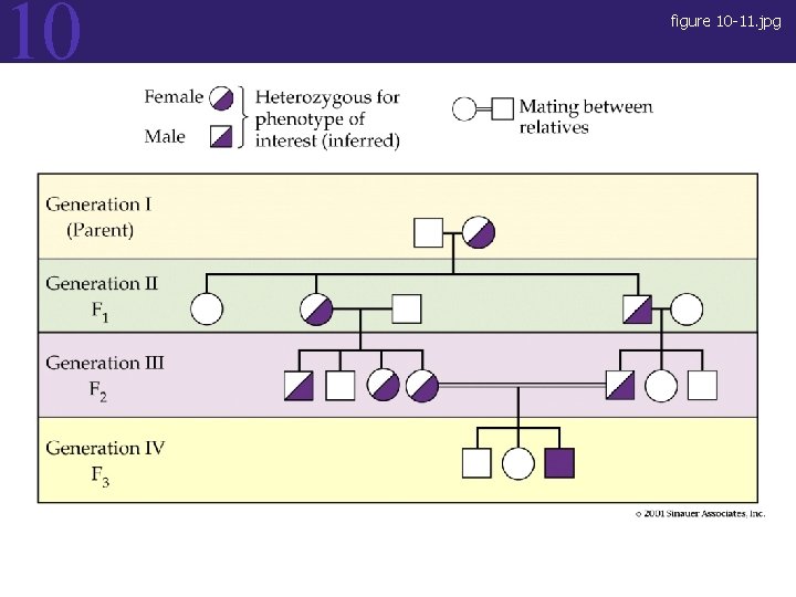 10 figure 10 -11. jpg Figure 10. 11 