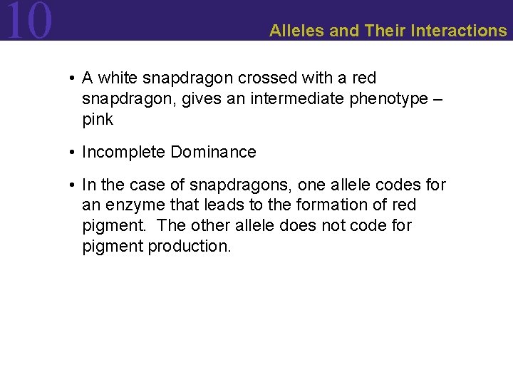 10 Alleles and Their Interactions • A white snapdragon crossed with a red snapdragon,