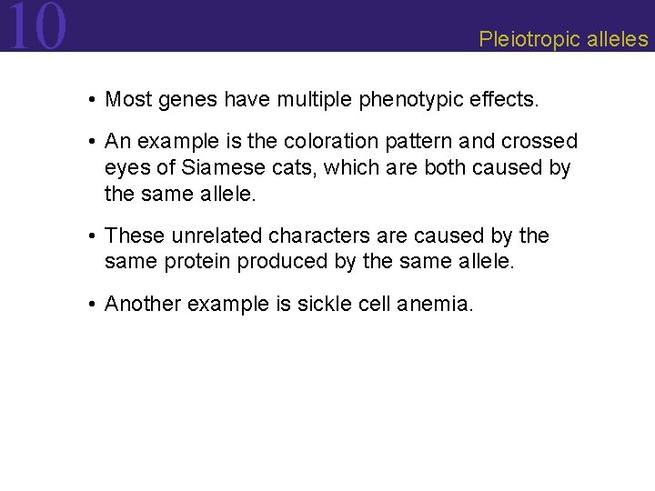 10 Pleiotropic alleles • Most genes have multiple phenotypic effects. • An example is