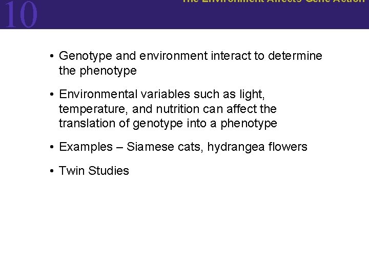 The Environment Affects Gene Action 10 • Genotype and environment interact to determine the