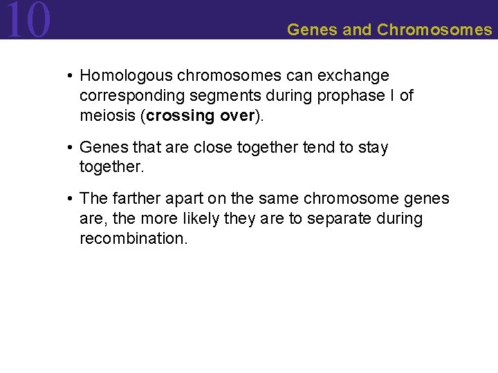 10 Genes and Chromosomes • Homologous chromosomes can exchange corresponding segments during prophase I