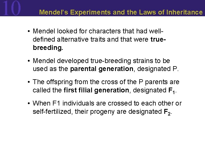 10 Mendel’s Experiments and the Laws of Inheritance • Mendel looked for characters that