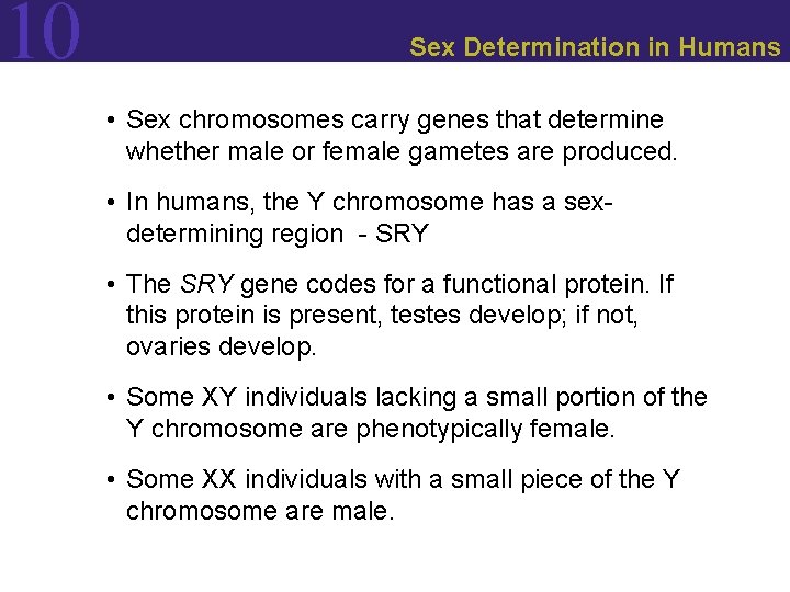 10 Sex Determination in Humans • Sex chromosomes carry genes that determine whether male