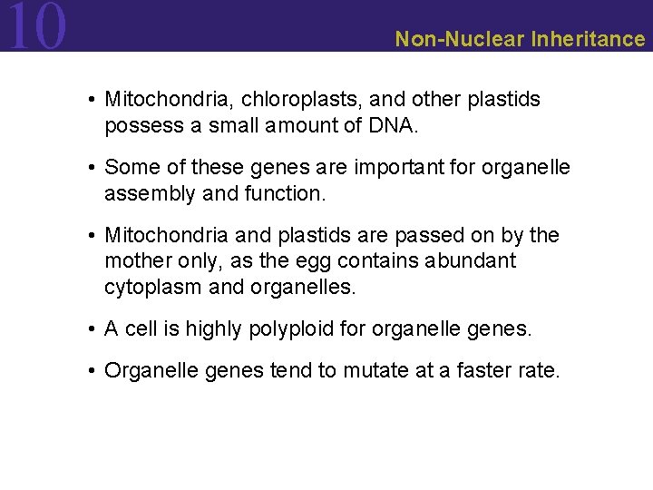 10 Non-Nuclear Inheritance • Mitochondria, chloroplasts, and other plastids possess a small amount of