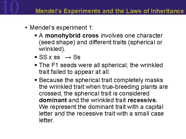 10 Mendel’s Experiments and the Laws of Inheritance • Mendel’s experiment 1: § A