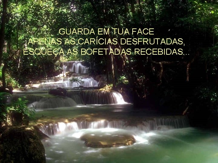 GUARDA EM TUA FACE APENAS AS CARÍCIAS DESFRUTADAS, ESQUEÇA AS BOFETADAS RECEBIDAS. . .