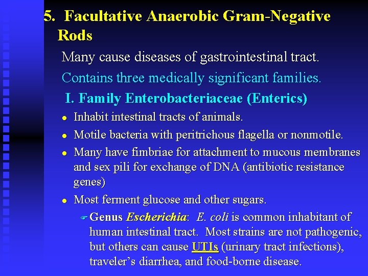 5. Facultative Anaerobic Gram-Negative Rods Many cause diseases of gastrointestinal tract. Contains three medically