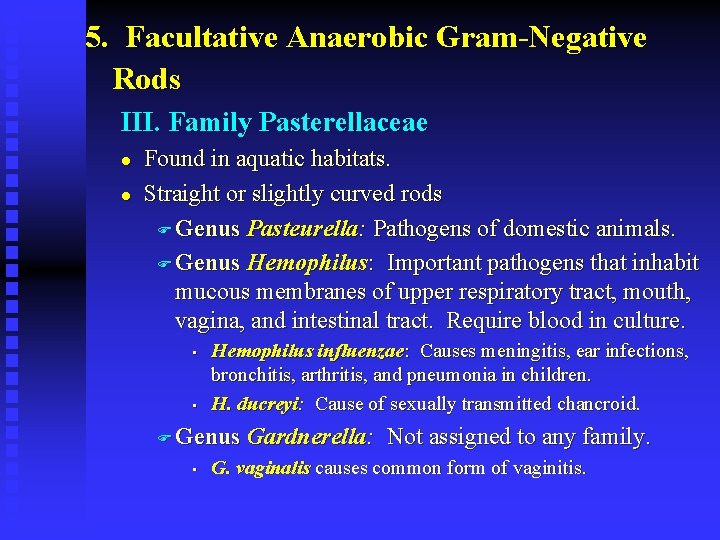 5. Facultative Anaerobic Gram-Negative Rods III. Family Pasterellaceae l l Found in aquatic habitats.