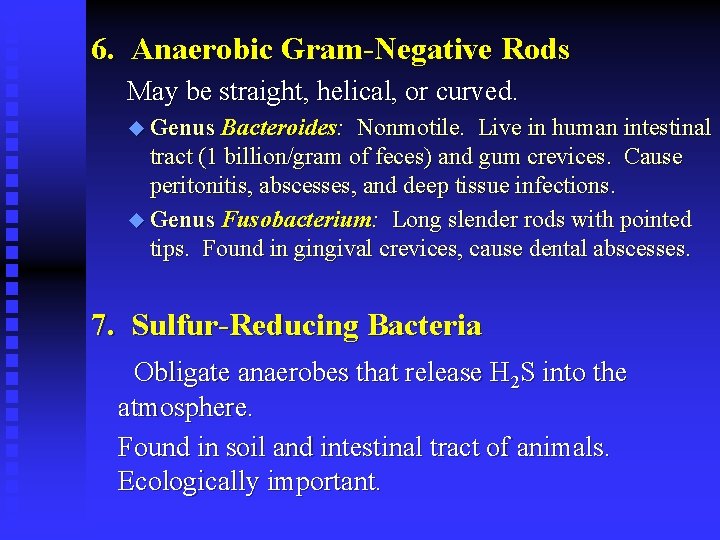 6. Anaerobic Gram-Negative Rods May be straight, helical, or curved. u Genus Bacteroides: Nonmotile.