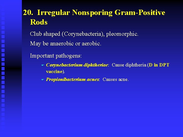 20. Irregular Nonsporing Gram-Positive Rods Club shaped (Corynebacteria), pleomorphic. May be anaerobic or aerobic.