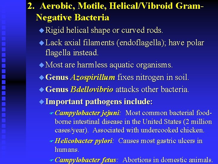 2. Aerobic, Motile, Helical/Vibroid Gram. Negative Bacteria u Rigid helical shape or curved rods.