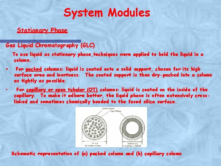 System Modules Stationary Phase Gas Liquid Chromatography (GLC) To use liquid as stationary phase,