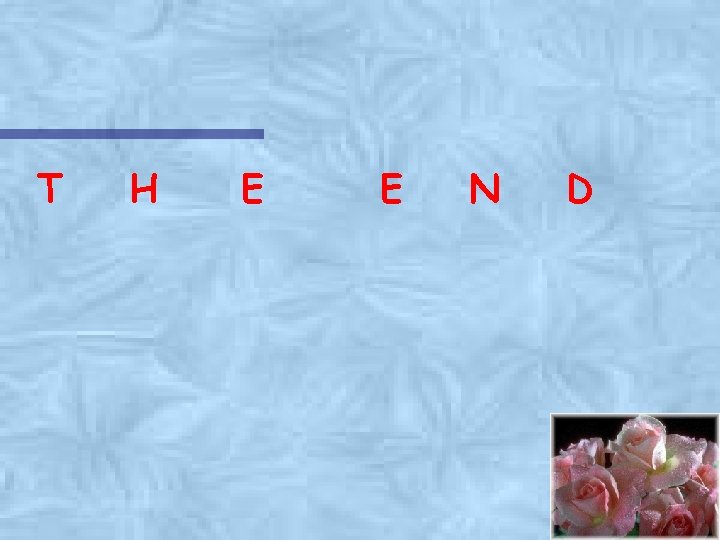 T H E E N D 