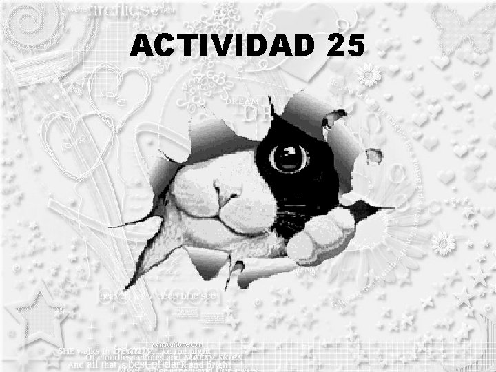 ACTIVIDAD 25 