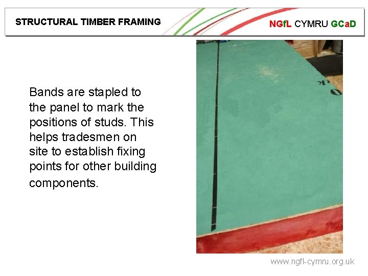 STRUCTURAL TIMBER FRAMING NGf. L CYMRU GCa. D Bands are stapled to the panel