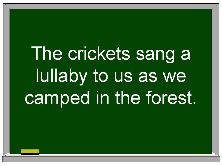 The crickets sang a lullaby to us as we camped in the forest. 
