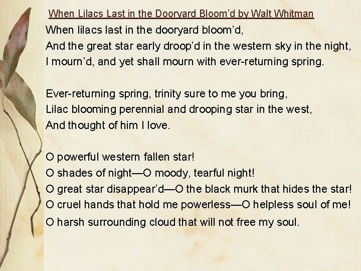 When Lilacs Last in the Dooryard Bloom’d by Walt Whitman When lilacs last in