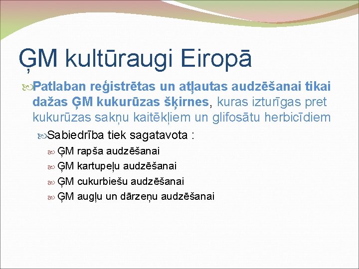 ĢM kultūraugi Eiropā Patlaban reģistrētas un atļautas audzēšanai tikai dažas ĢM kukurūzas šķirnes, kuras