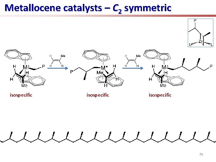 Metallocene catalysts – C 2 symmetric isospecific 75 