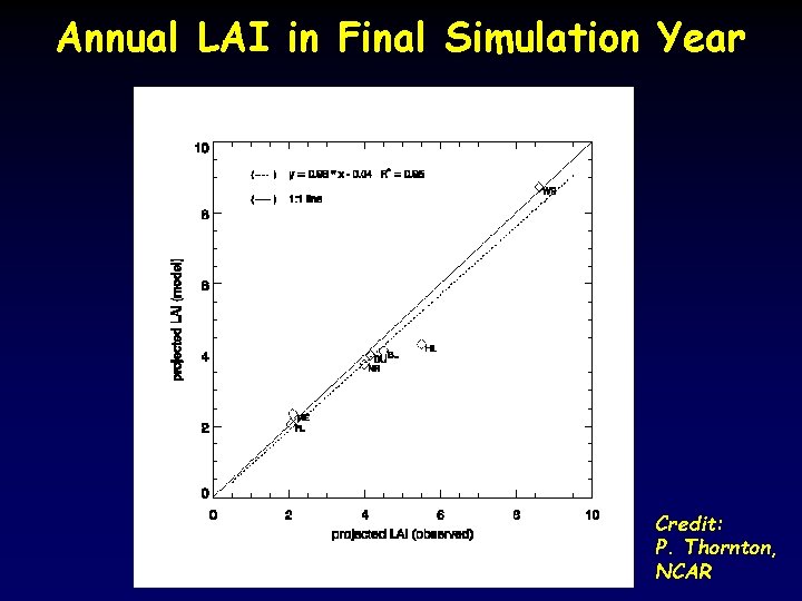 Annual LAI in Final Simulation Year Credit: P. Thornton, NCAR 