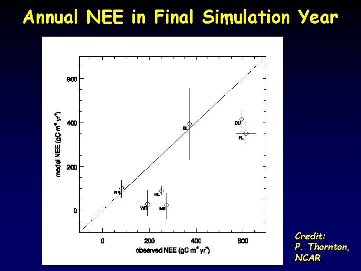 Annual NEE in Final Simulation Year Credit: P. Thornton, NCAR 