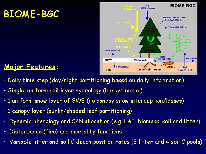 BIOME-BGC Major Features: • Daily time step (day/night partitioning based on daily information) •