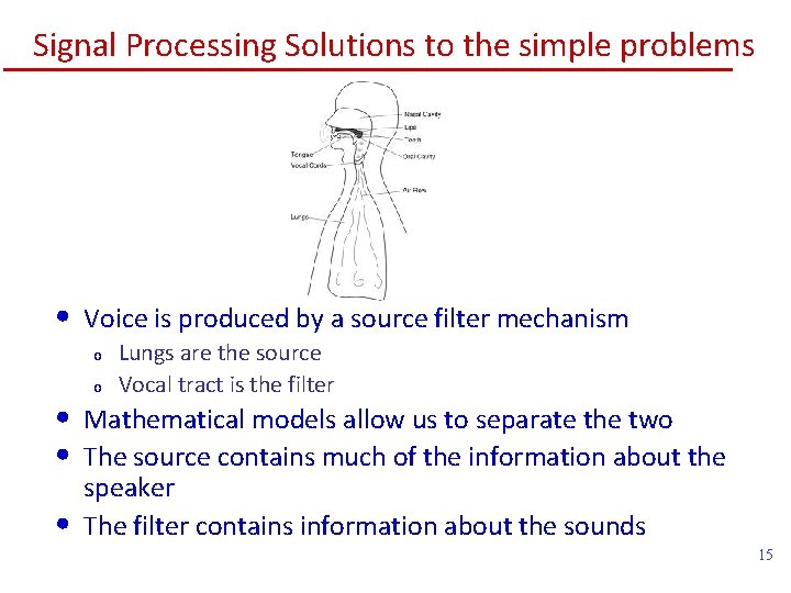 Signal Processing Solutions to the simple problems • Voice is produced by a source