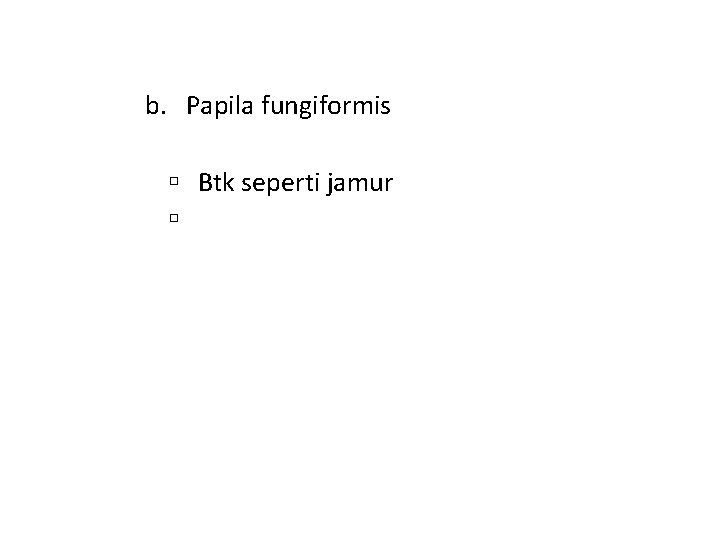 b. Papila fungiformis Btk seperti jamur 