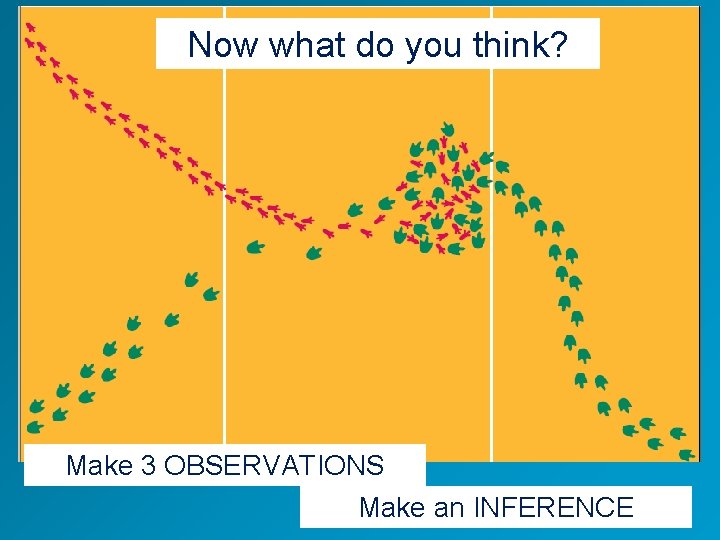 Now what do you think? Make 3 OBSERVATIONS Make an INFERENCE 