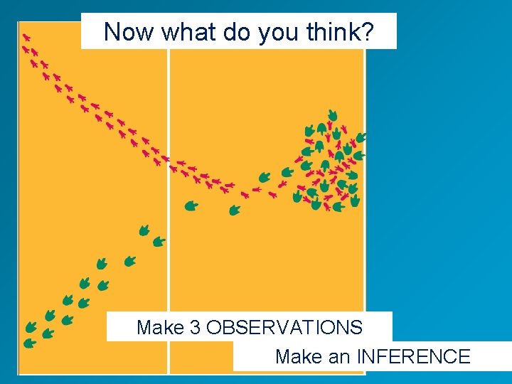 Now what do you think? Make 3 OBSERVATIONS Make an INFERENCE 