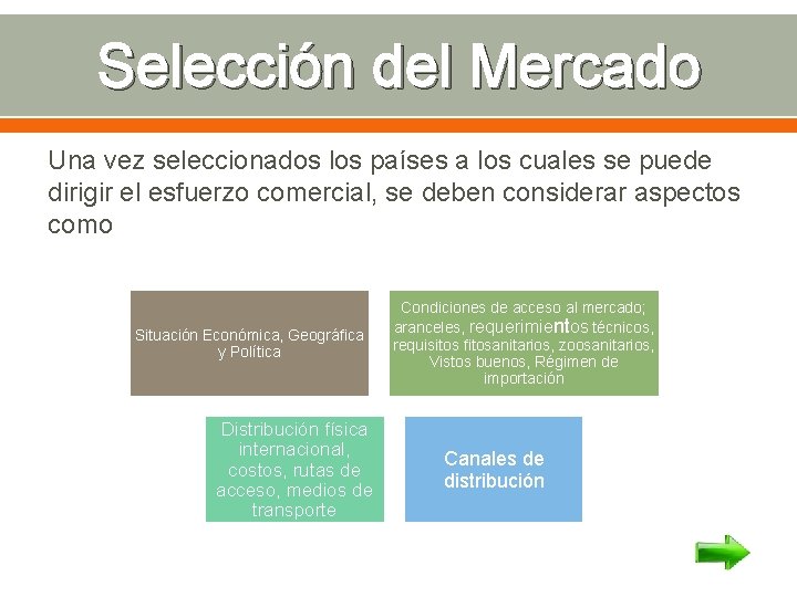Selección del Mercado Una vez seleccionados los países a los cuales se puede dirigir