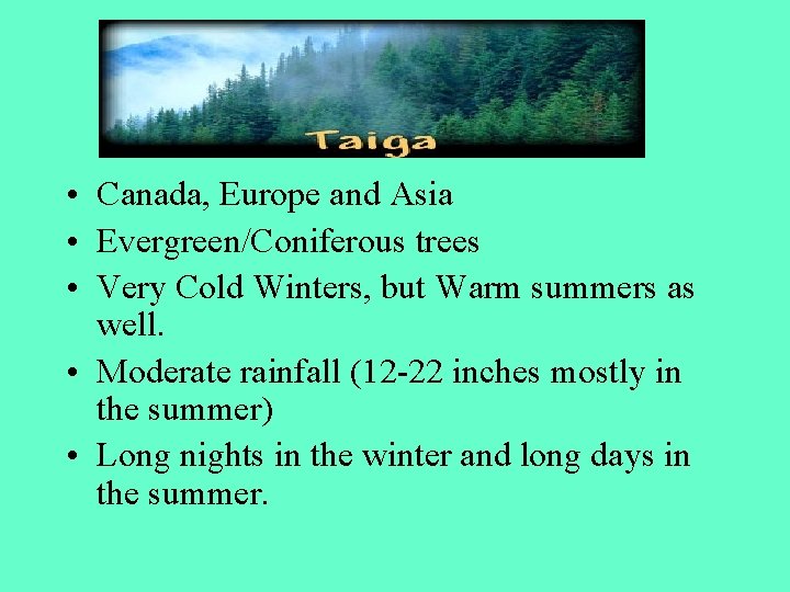  • Canada, Europe and Asia • Evergreen/Coniferous trees • Very Cold Winters, but