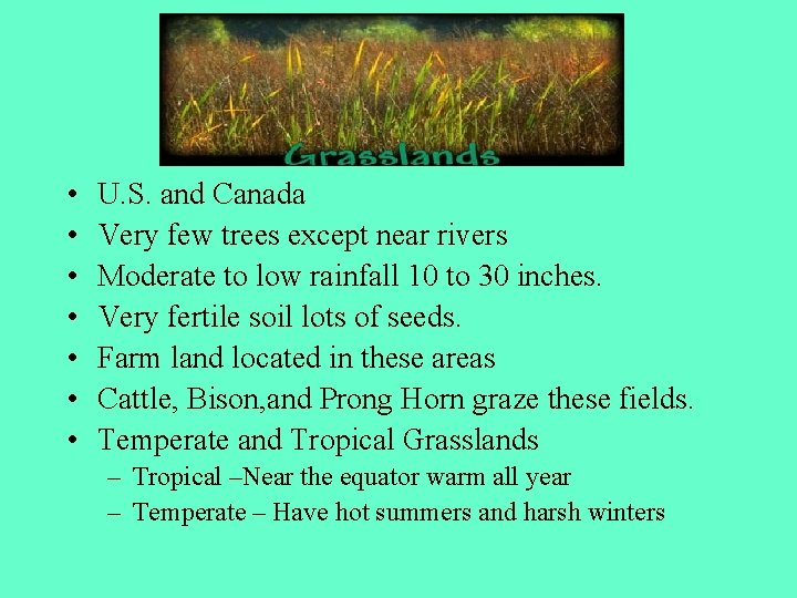  • • U. S. and Canada Very few trees except near rivers Moderate