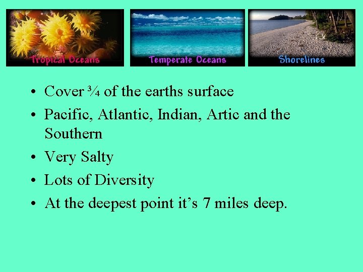  • Cover ¾ of the earths surface • Pacific, Atlantic, Indian, Artic and