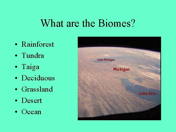 What are the Biomes? • • Rainforest Tundra Taiga Deciduous Grassland Desert Ocean 