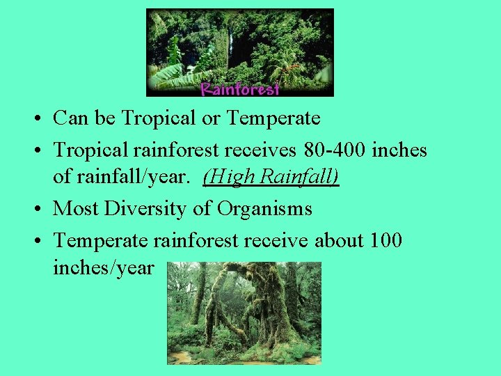  • Can be Tropical or Temperate • Tropical rainforest receives 80 -400 inches