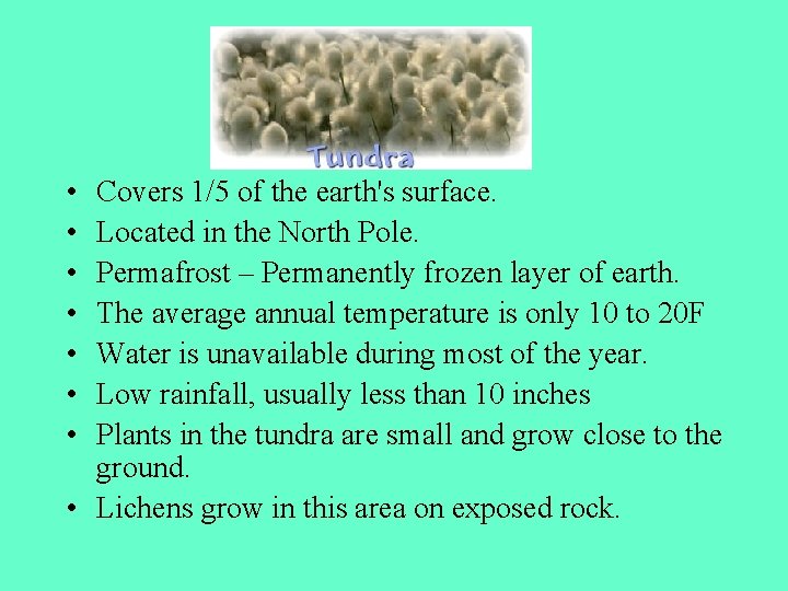  • • Covers 1/5 of the earth's surface. Located in the North Pole.