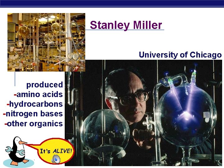 Stanley Miller University of Chicago produced -amino acids -hydrocarbons -nitrogen bases -other organics It’s