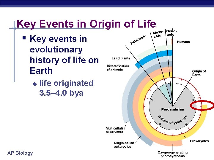 Key Events in Origin of Life § Key events in evolutionary history of life