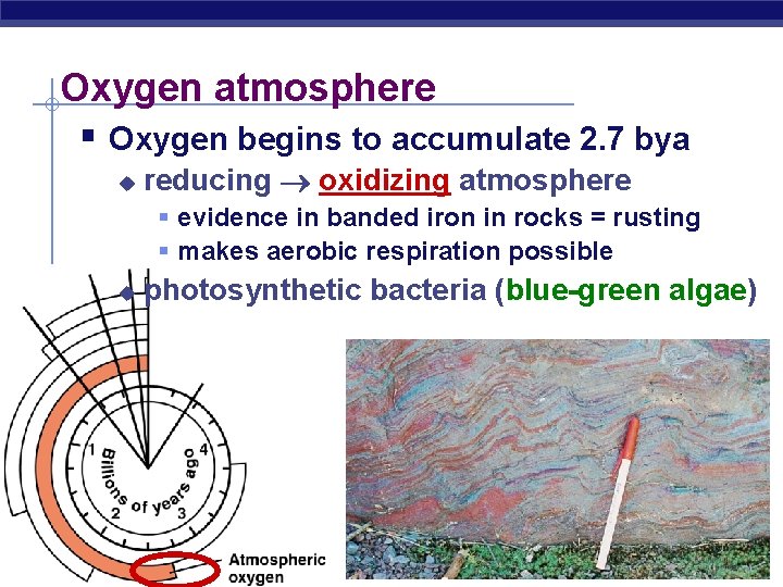 Oxygen atmosphere § Oxygen begins to accumulate 2. 7 bya u reducing oxidizing atmosphere