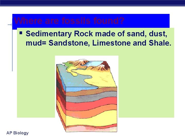 Where are fossils found? § Sedimentary Rock made of sand, dust, mud= Sandstone, Limestone
