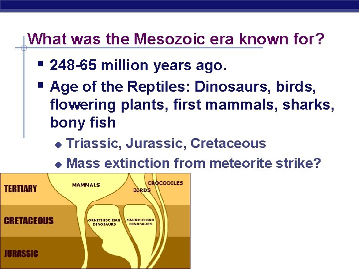 What was the Mesozoic era known for? § 248 -65 million years ago. §